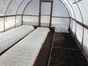 High tunnel beds 