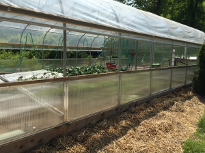Lower poly panels to keep critters out and protection from winds